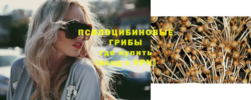 Галлюциногенные грибы Magic Shrooms  shop как зайти  Кашин 